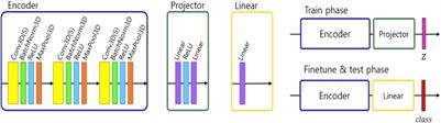 MRI-Based Classification of Neuropsychiatric Systemic Lupus Erythematosus Patients With Self-Supervised Contrastive Learning